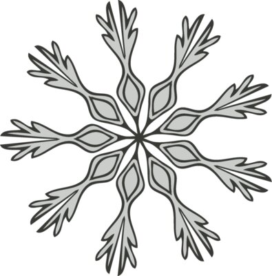 Snowflake ME 82