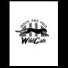 Wildcats Track & Field Logo 01