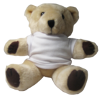 Soft Toy - 10" Promo Bear