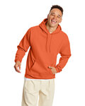 Unisex Ecosmart® 50/50 Pullover Hooded Sweatshirt