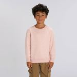 Kids mini Changer iconic crew neck sweatshirt (STSK913)