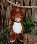 Zippie orangutan