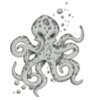 Octopi 3