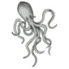 Octopi 5