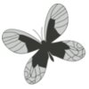 Girly Realistic Butterflies 1