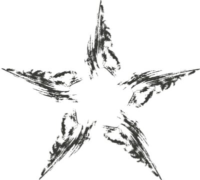 Charcoal Star 13