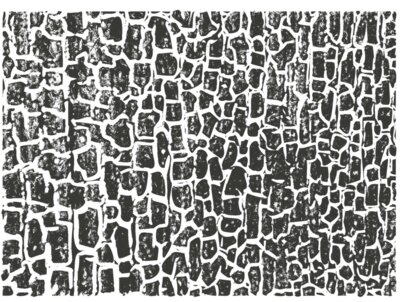 Texture Patterns Crackle 21