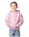 Heavy Blend Youth Hood Sweatshirt