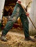 Regatta New Action Trouser (Short)