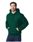 Heavy Blend™ Adult Hooded Sweatshirt