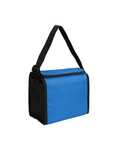 Cooler Bag