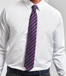 Premier Sports Stripe Tie