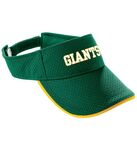 Athletic Mesh Two-Color Visor